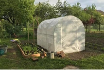 Polytunnel bianco 2 x 3 m