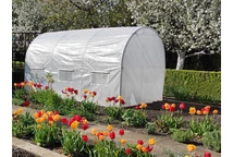 Foglio per il tunnel 2x3,5 m bianco Garden Point