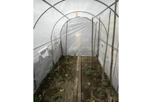 Polytunnel 2x3m bianco - vista dall'interno